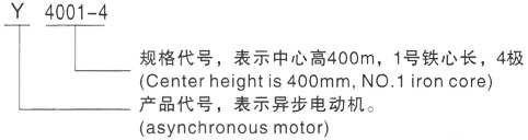 西安泰富西玛Y系列(H355-1000)高压JR117-10三相异步电机型号说明