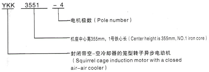 YKK系列(H355-1000)高压JR117-10三相异步电机西安泰富西玛电机型号说明