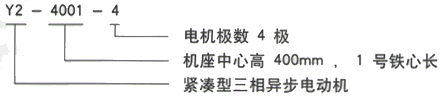 YR系列(H355-1000)高压JR117-10三相异步电机西安西玛电机型号说明